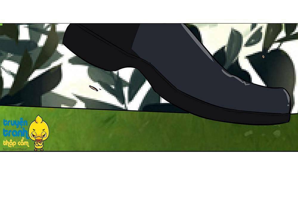 cường sủng hào môn tiểu manh thê chapter 4 7