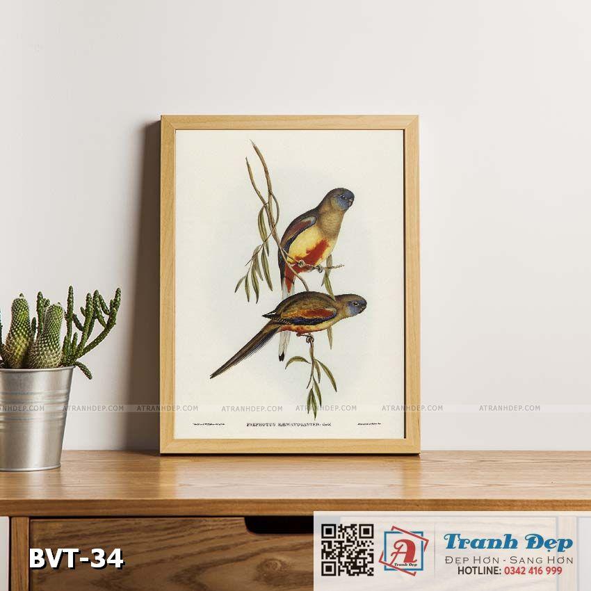 Tranh canvas vintage - Vẹt  - BVT-34