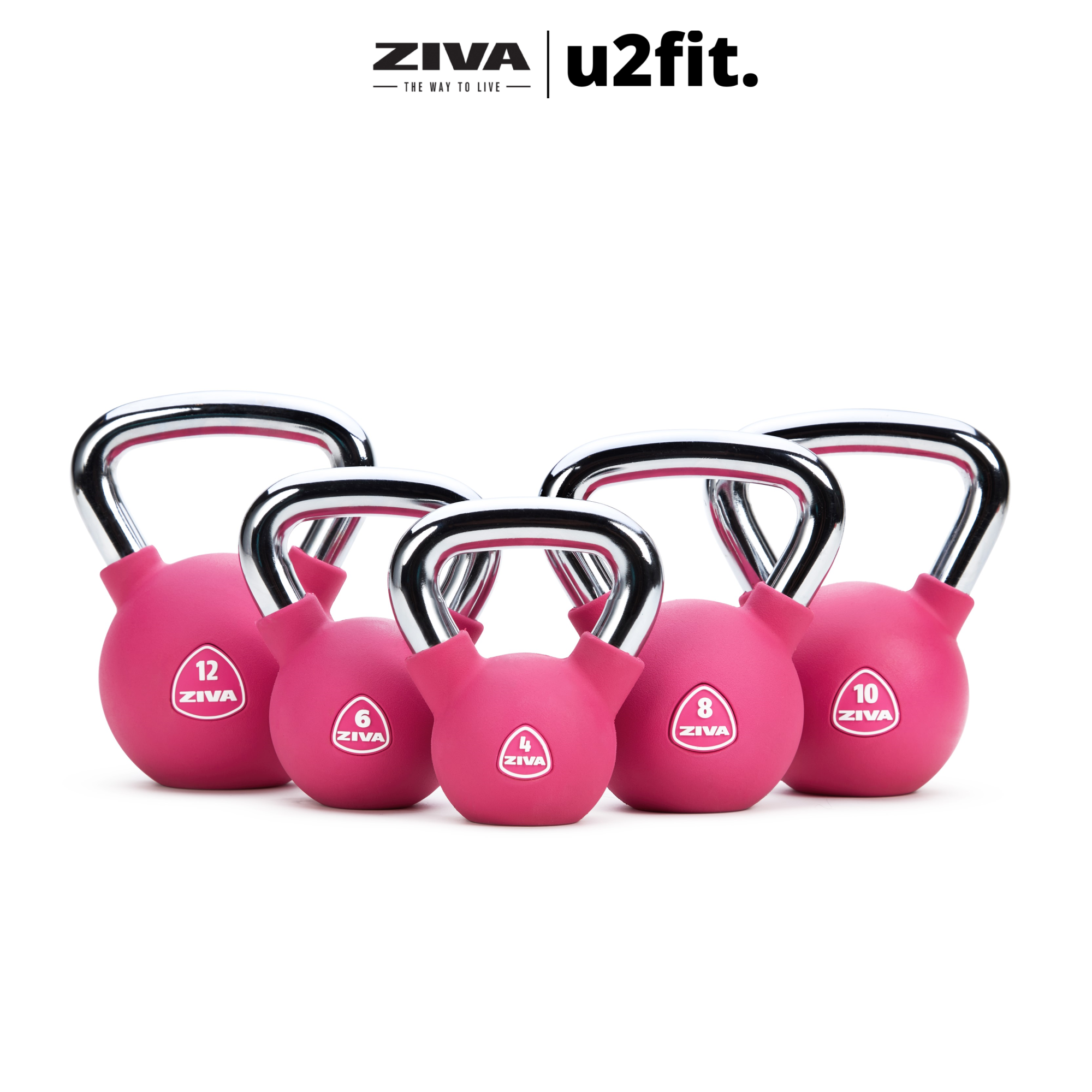 Tạ Ấm ZIVA Chic Kettlebell Màu Sắc Thời Thượng - Hàng Chính Hãng