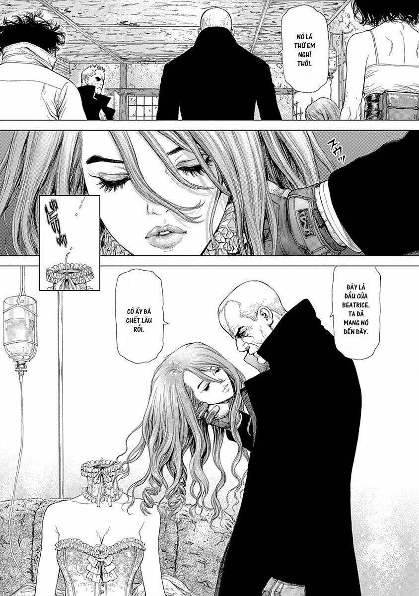 wallman chapter 22 26