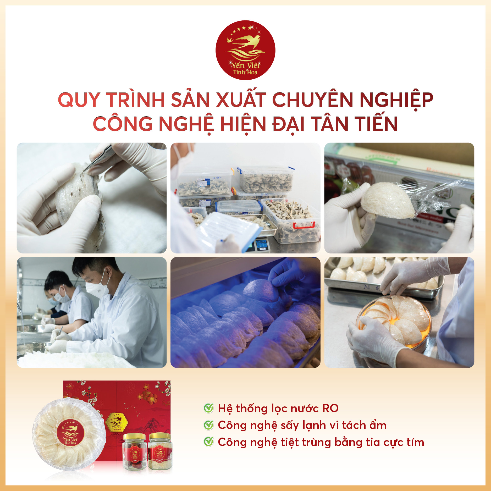 Tổ yến Tinh chế thượng hạng 100 gram Yến Việt Tinh Hoa - Hàng chính hãng