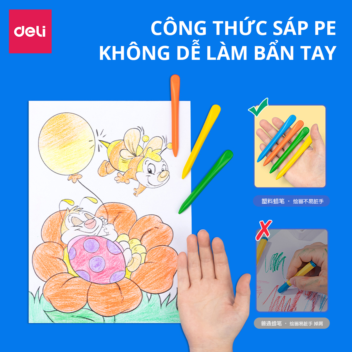 Bút sáp màu hữu cơ gấu con Deli - An toàn cho bé, không vấy bẩn tay - 12/24/36 màu - Tô màu, vẽ tranh học sinh trẻ em -  Cán tam giác dễ cầm