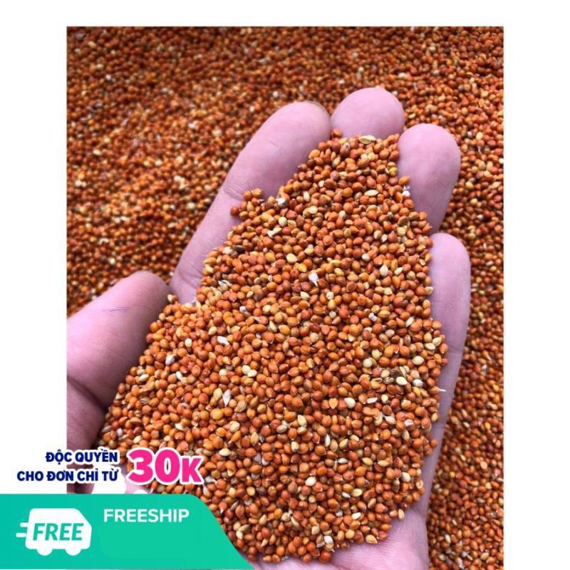Kê đỏ thức ăn cho vẹt ,hamster, sóc, Chim Cảnh, Cu Gáy, Yến Phụng...