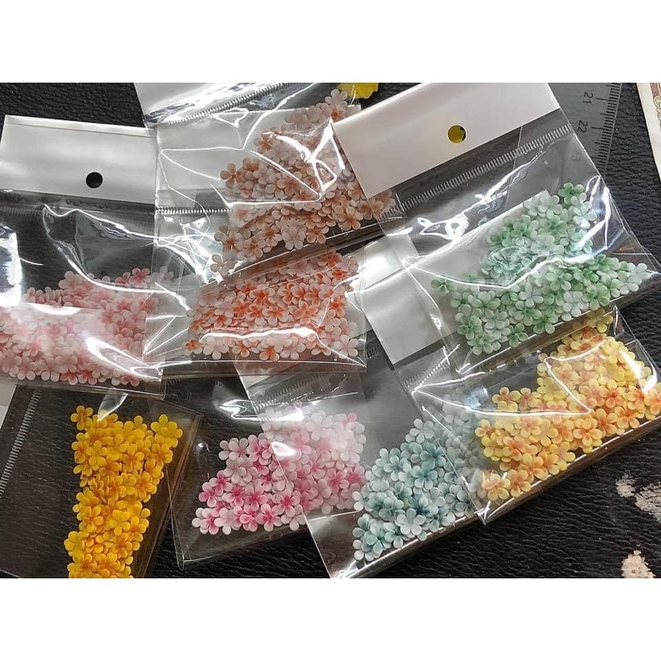 - Hoa Mai Nhí. hoa mai kép- hoa mai đơn-tiền thần tài 100% Bột Mỹ- Trang Trí Móng -hoa bột