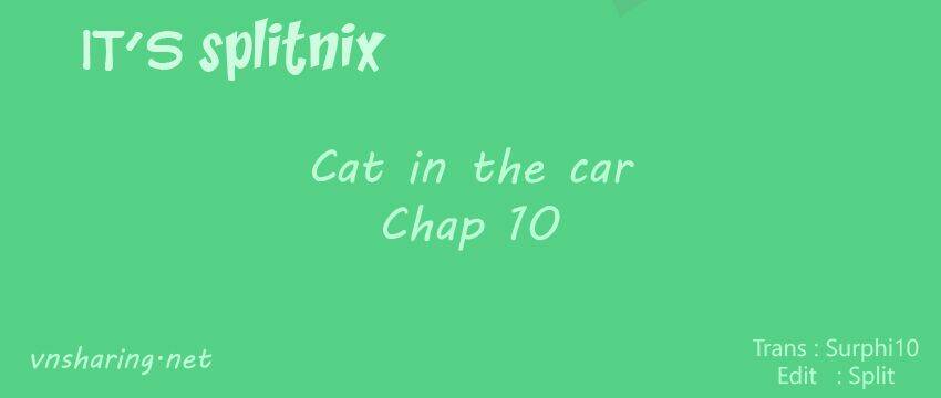 cat in the car chapter 10 1