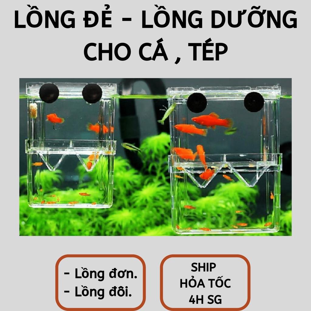 Lồng dưỡng, lồng đẻ cho cá cảnh - Phụ kiện cá cảnh | Hingaostore.