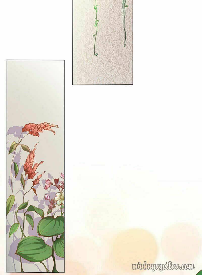 danh môn độc sủng ái thê chapter 8 37