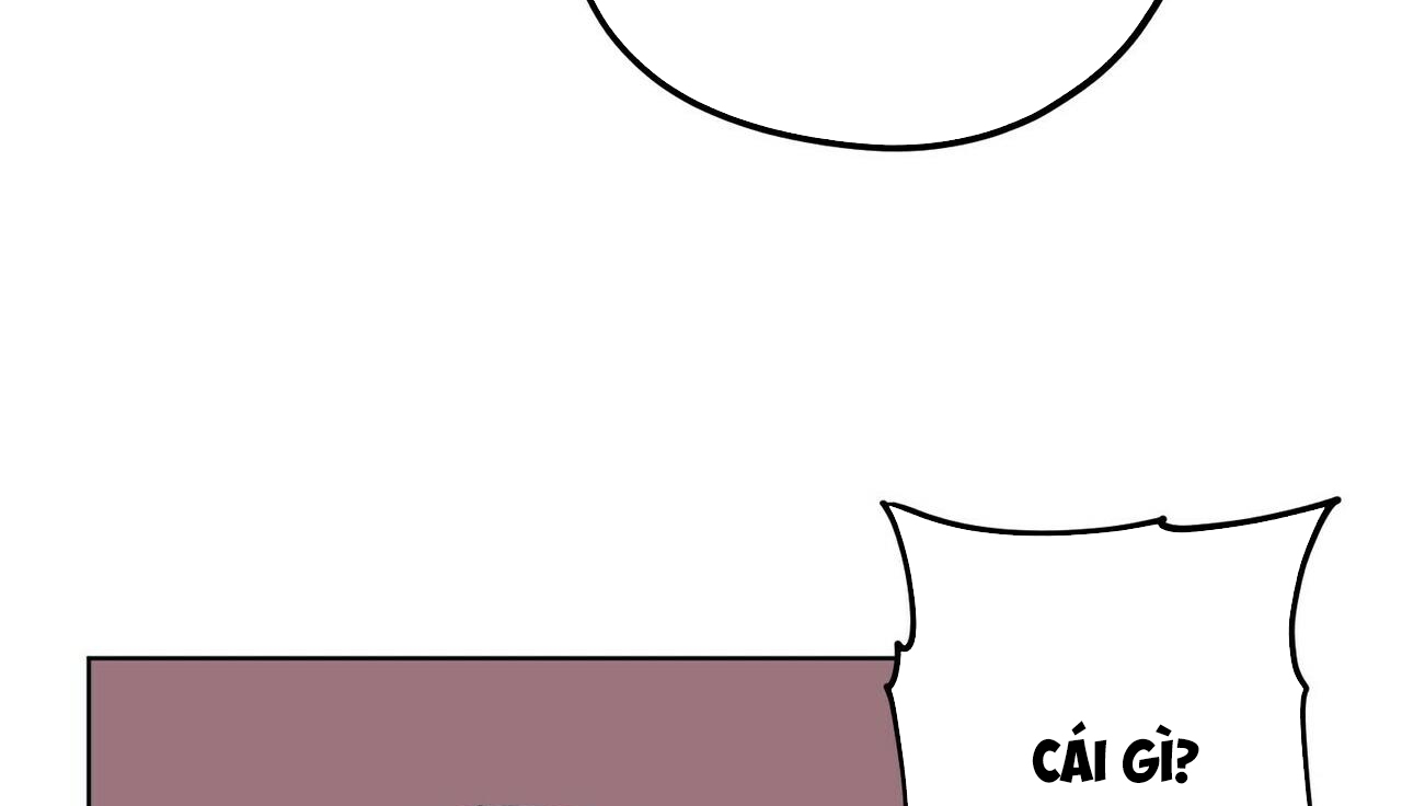 chàng dâu nhà họ kang chapter 14 144