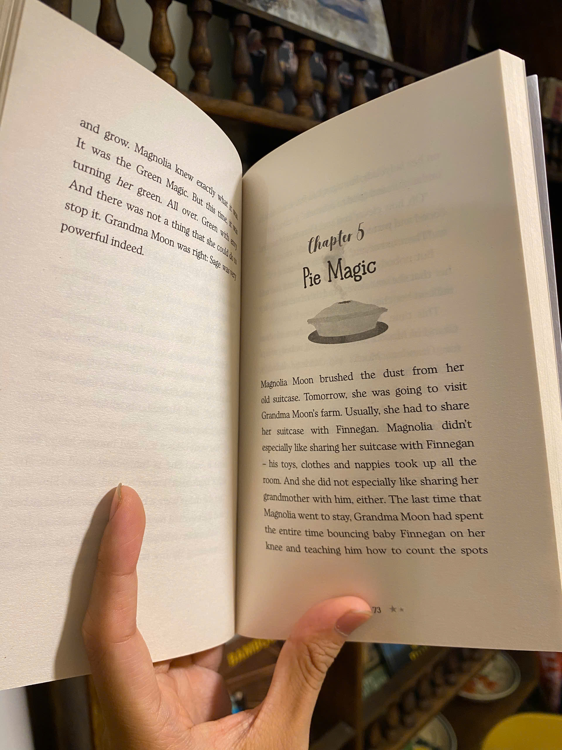 Sách - The Magic of Magnolia Moon by Edwina Wyatt | Children English Fiction / Ngoại văn Nhập khẩu