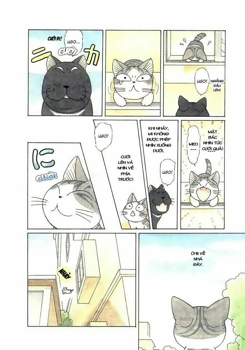 chi's sweet home chapter 48 7