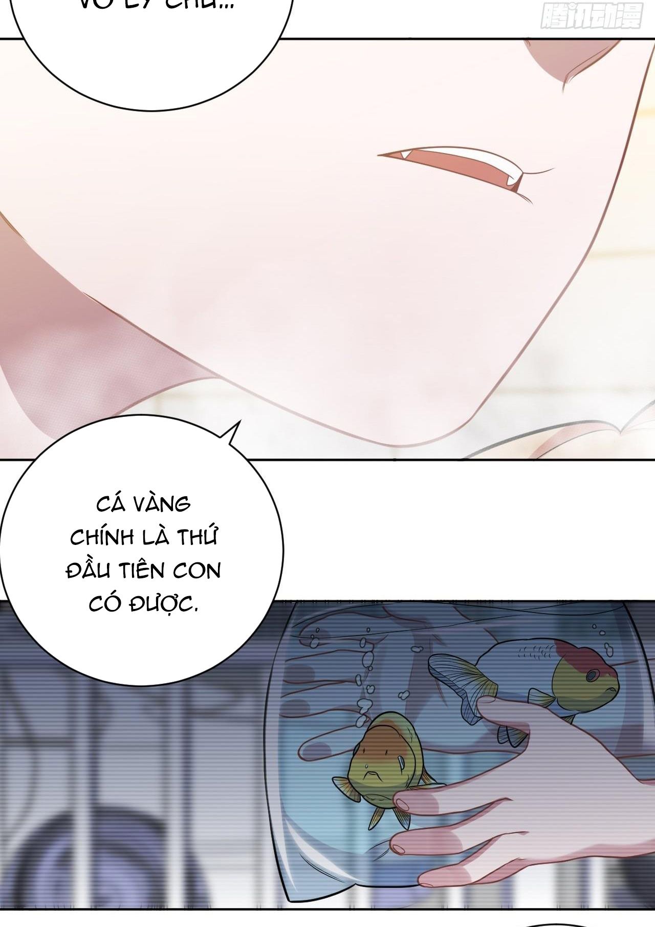 bố vợ đại nhân là bà xã chapter 223 40