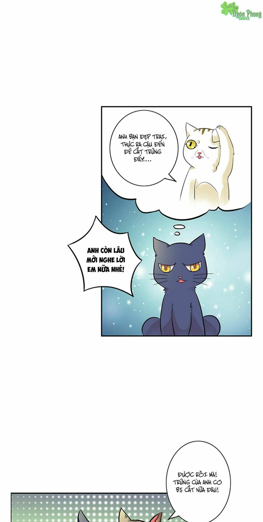 hai chú mèo totem chapter 6 11