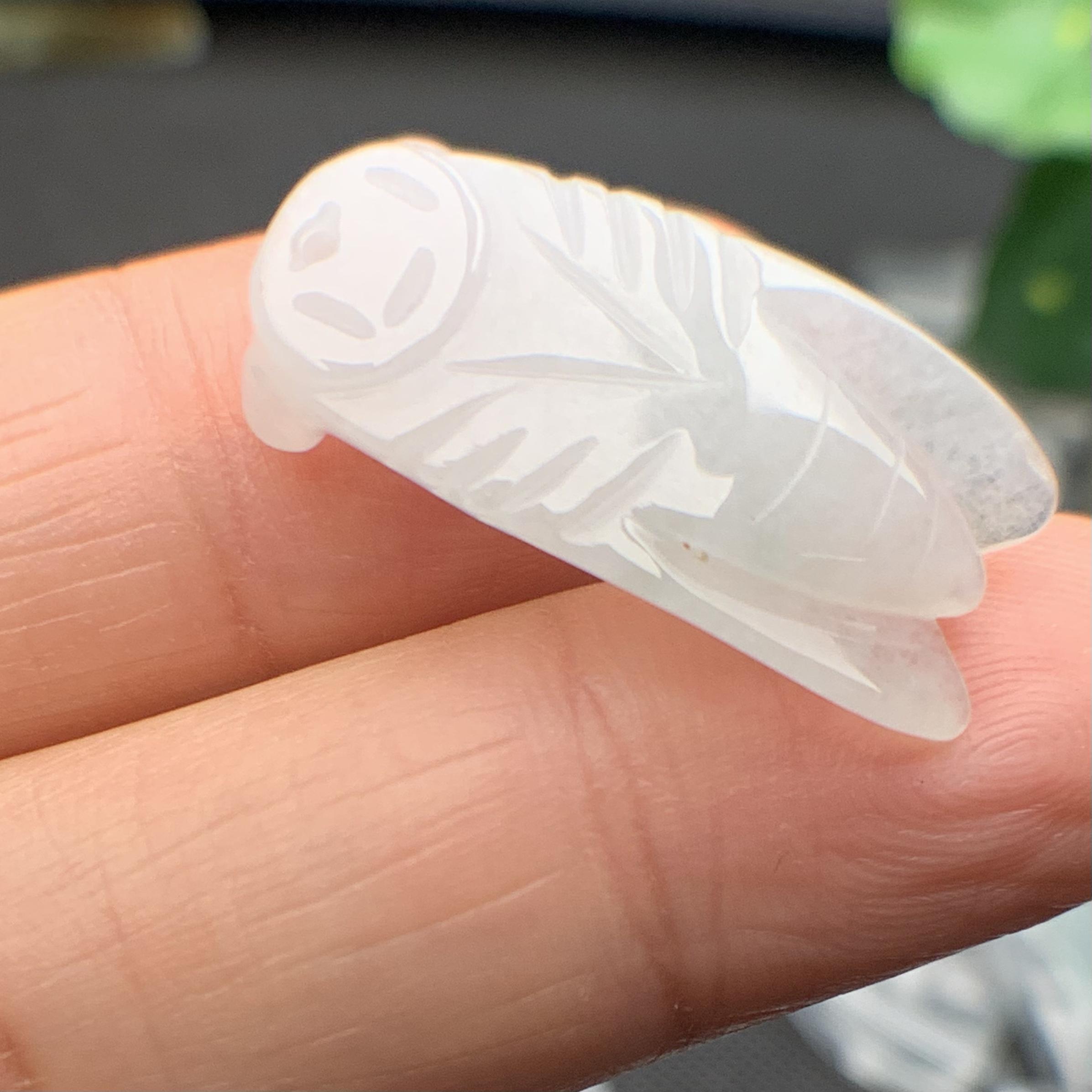 Ve sầu ngọc phỉ thúy tự nhiên Jadeite A