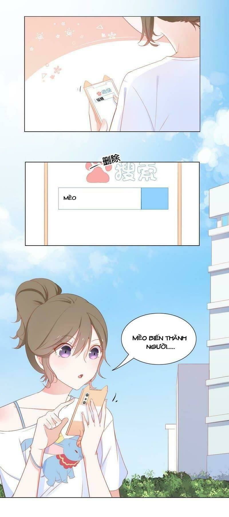 thập nhị hắc miêu chapter 2 23