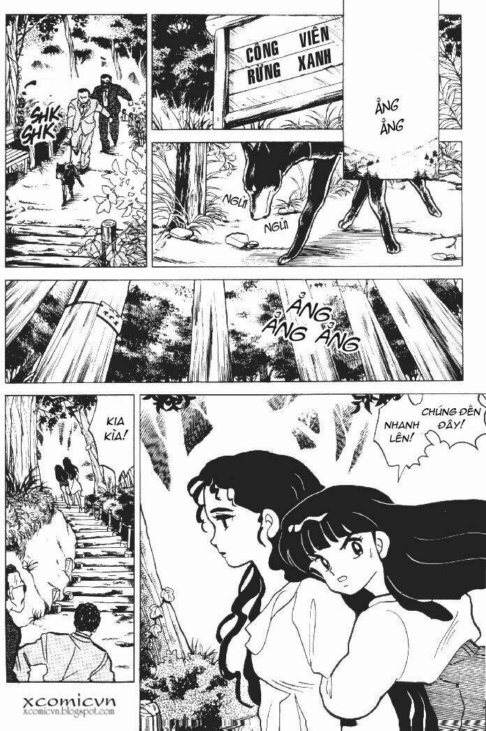 lời nguyền bất tử chapter 14 11