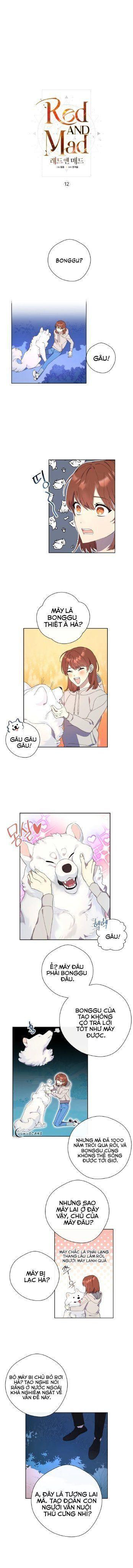 red and mad chapter 12 2