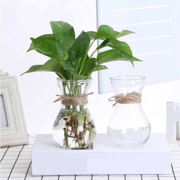 Bình , lọ thủy tinh miệng loe cổ thắt cắm hoa trang trí..