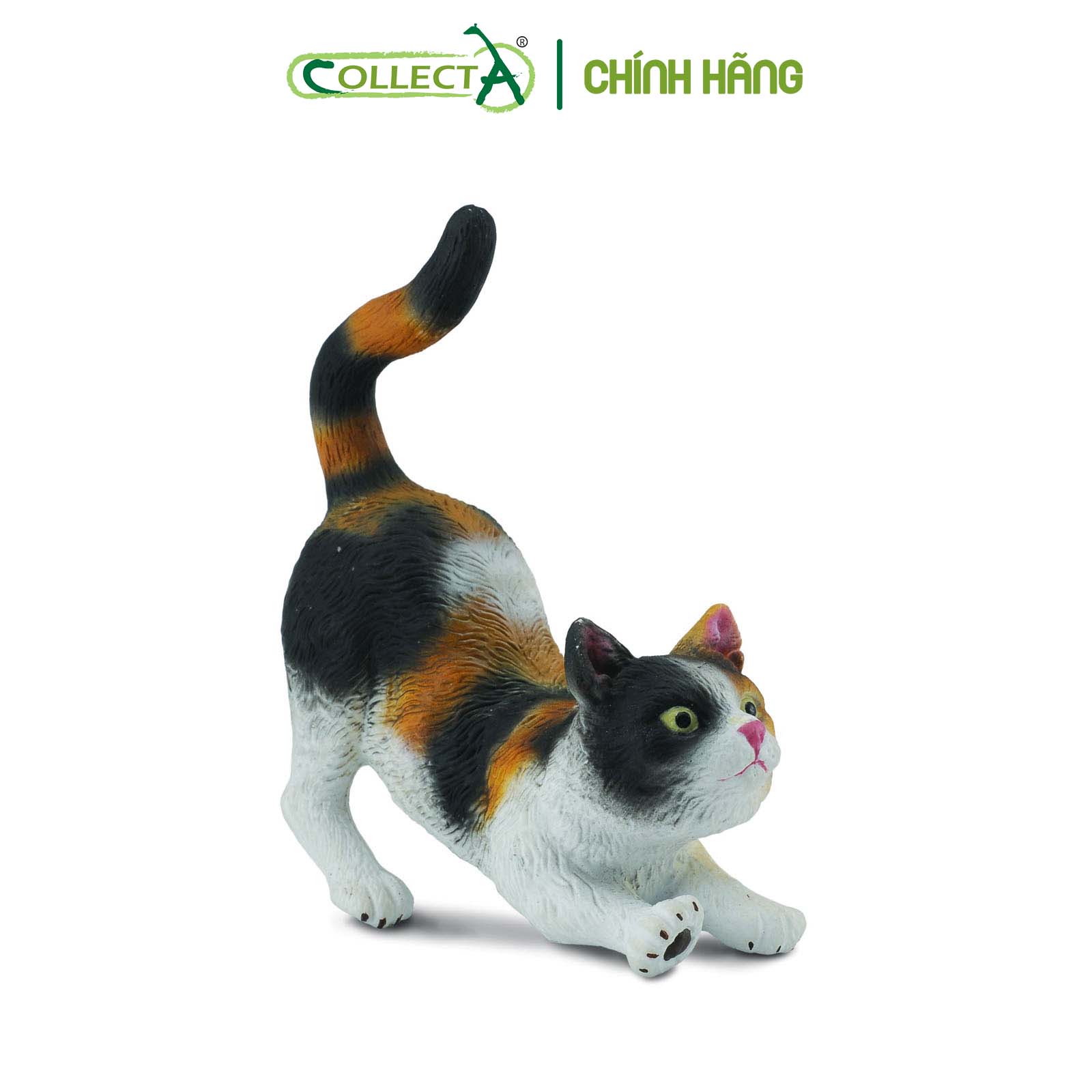 Mô hình thu nhỏ: Mèo tam thể - 3-Colour House Cat - Stretching, hiệu: CollectA, mã HS 9650030[88491] -  Chất liệu an toàn cho trẻ - Hàng chính hãng