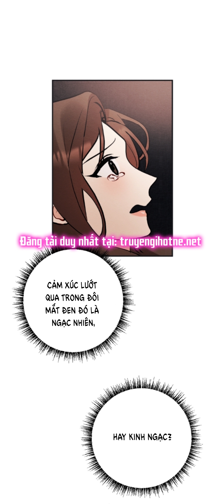 [18+] hôn nhân bị đánh cắp chapter 27.2 3