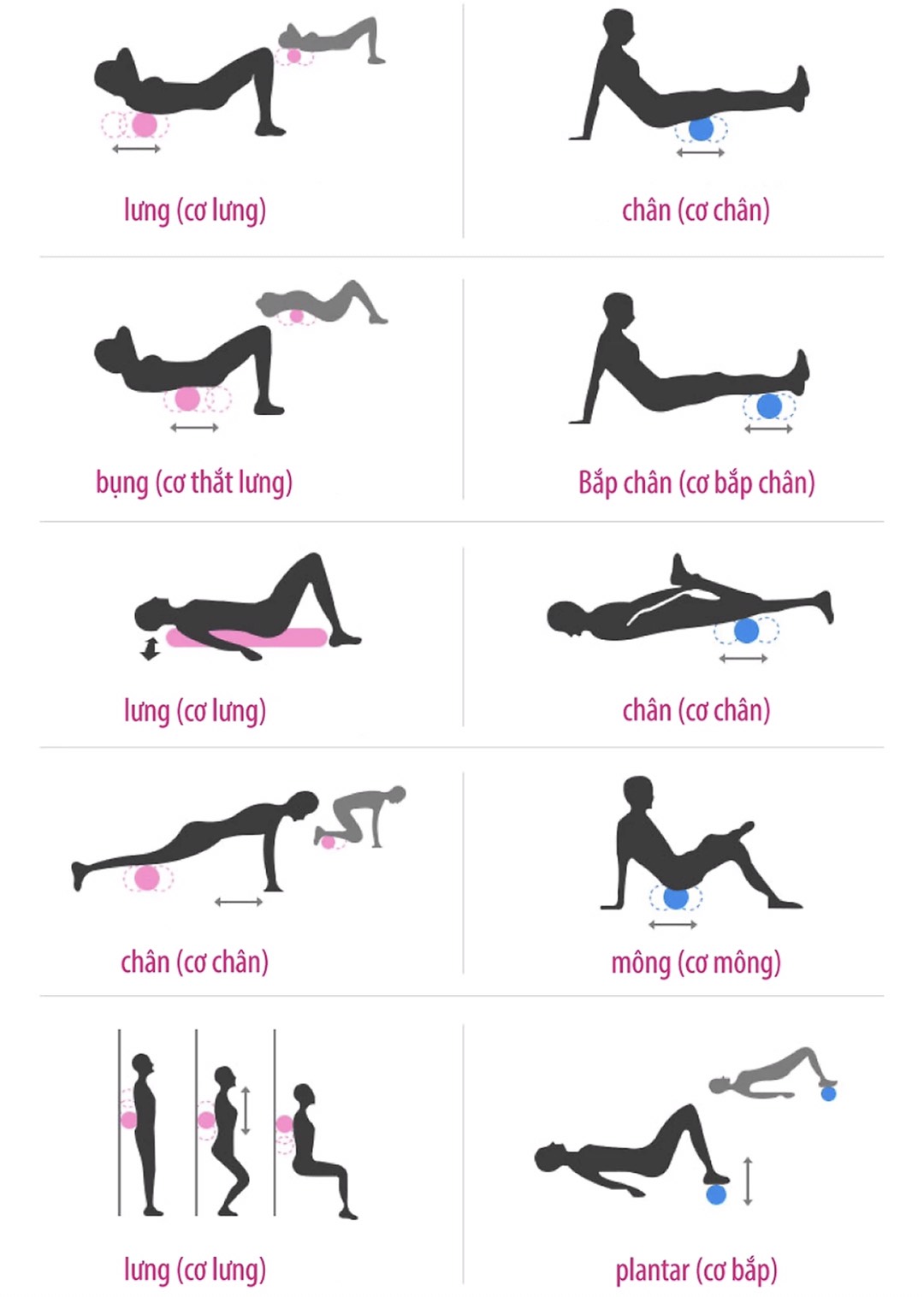 CON LĂN GAI MASAGE 33CM - ỐNG LĂN GIÃN CƠ TẬP GYM,YOGA,THỂ HÌNH,BÓNG ĐÁ...