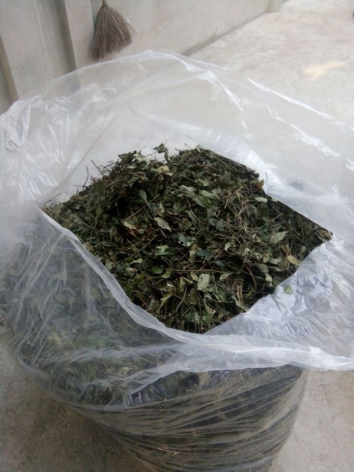 Chè vằng sẻ Tuệ Tâm - Chè vằng lá nhỏ ( Giảm cân lợi sữa, thanh nhiệt mùa hè) - Gói 1kg