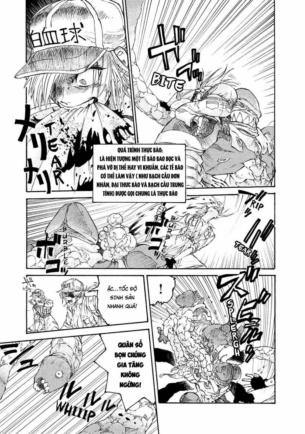 biệt đội tế bào black - hataraku saibou black chapter 4 15