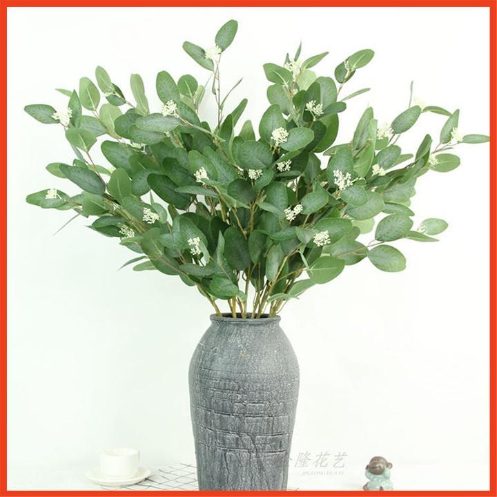 Cành khuynh diệp mix đủ ba màu cắm bình siêu xinh