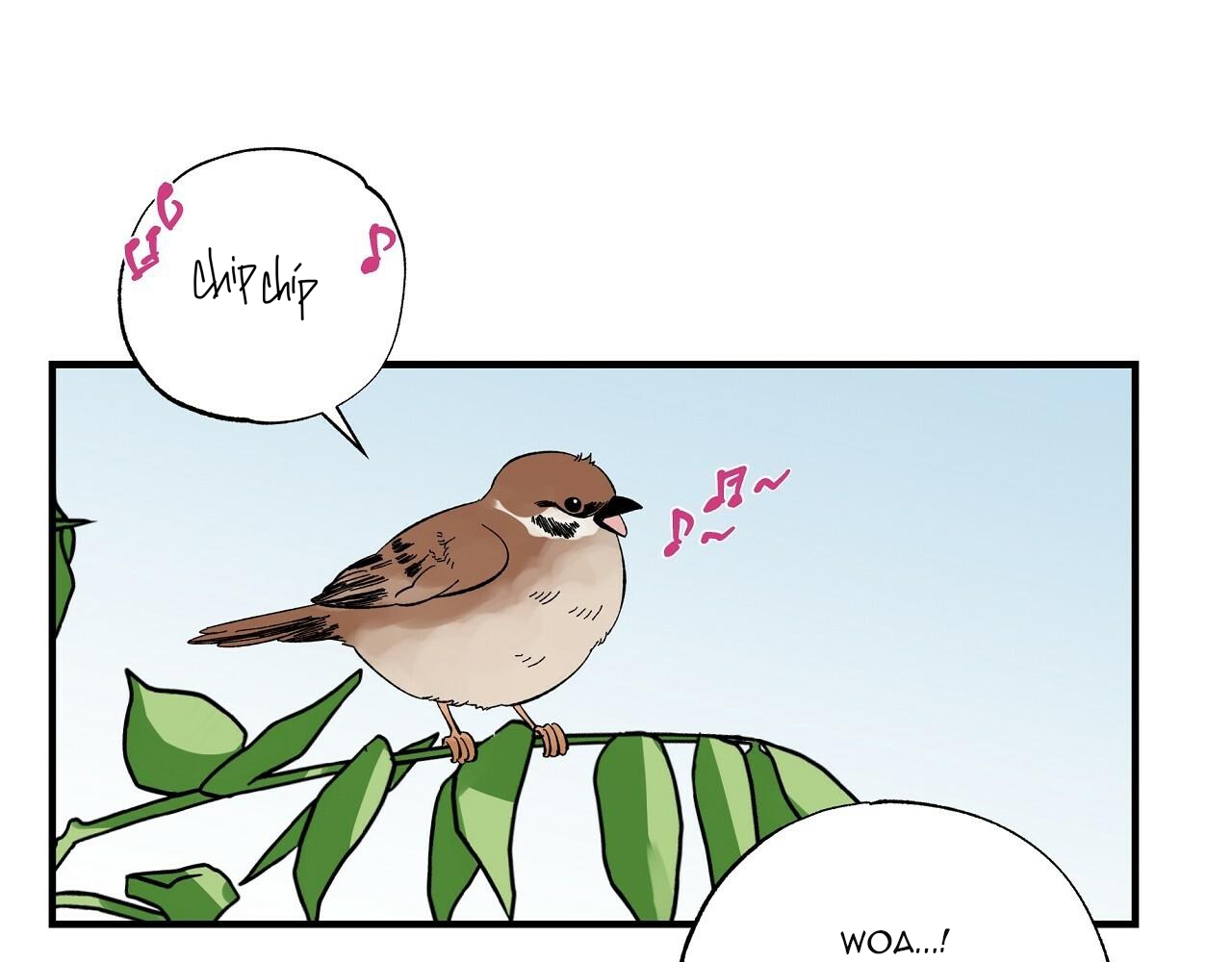 vị ngọt đôi môi chapter 24 44