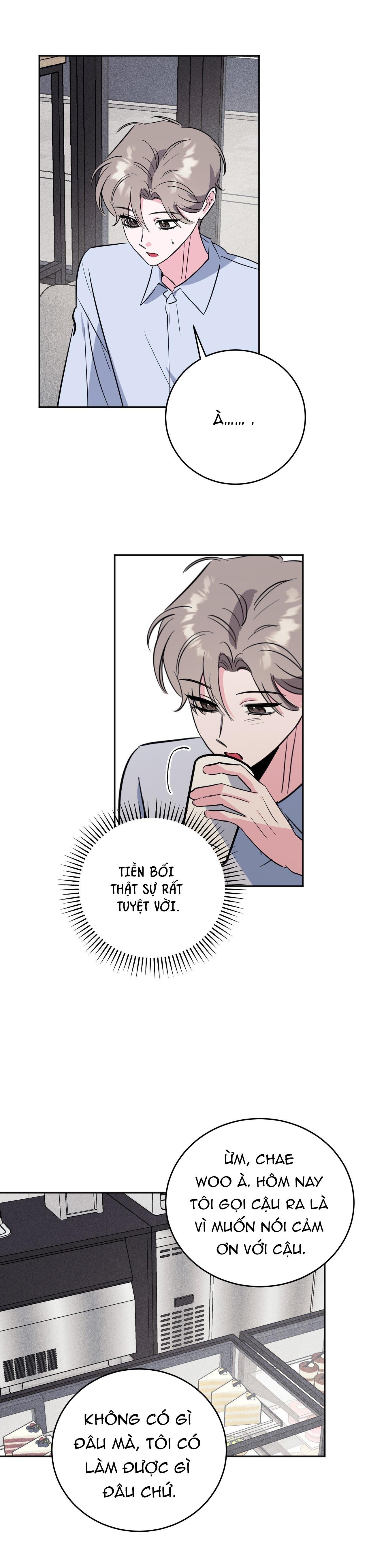 cạm bẫy đại học chapter 95 15