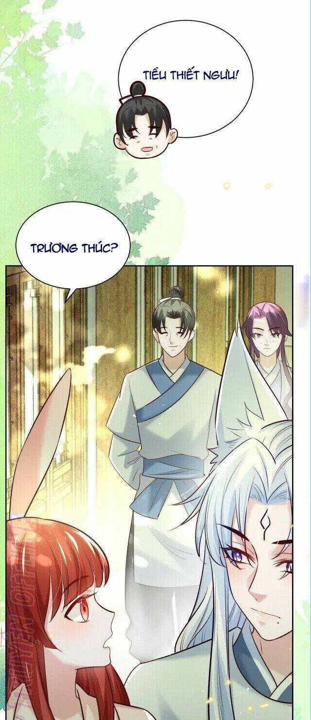 hắc hóa nam chính trực tuyến nuôi thỏ chapter 45 8