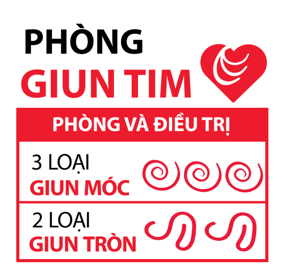 1 hộp x 6 viên HEARTGARD tẩy giun chó từ 11.5kg đến 22.5kg