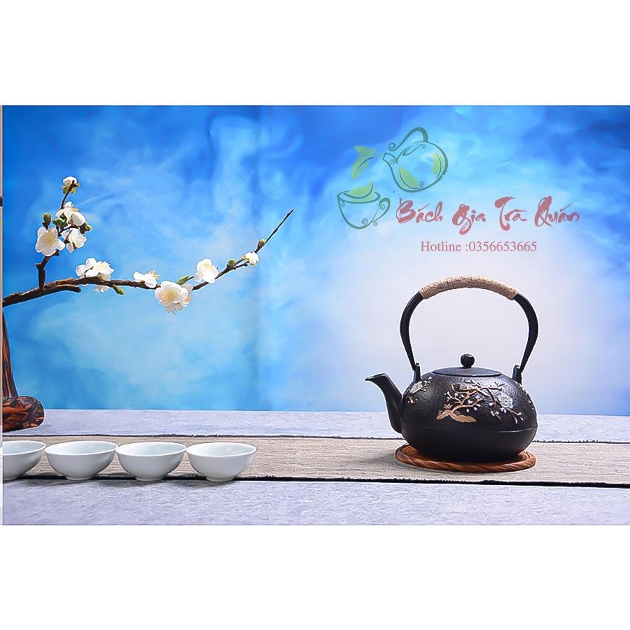 Ấm Gang Tetsubin - Quai Gang Quấn Dây Cói - Họa Tiết Én Báo xuân - Dung Tích 1200ml