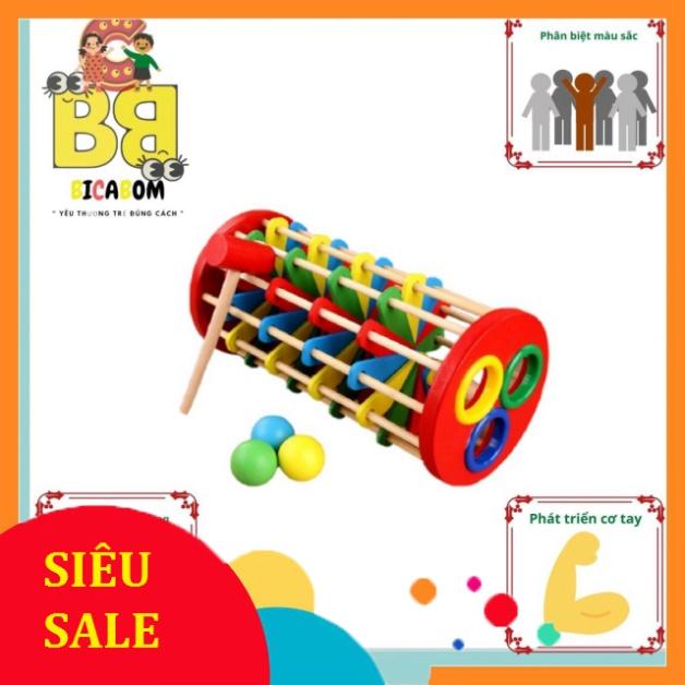 Đồ chơi giáo dục sớm cho bé bằng gỗ đập bi lốc xoáy Bc18