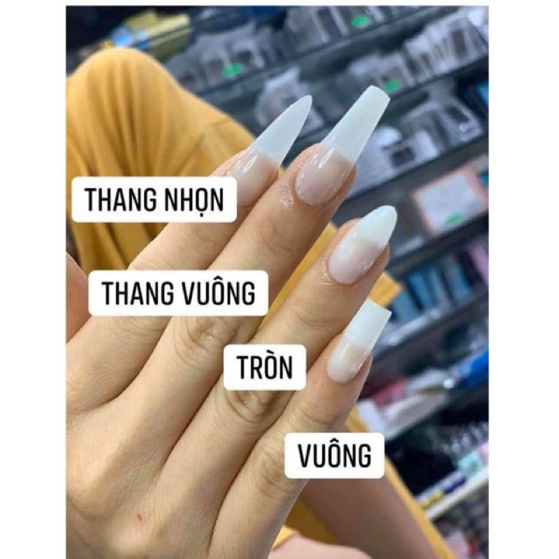 Móng giả dán hsm