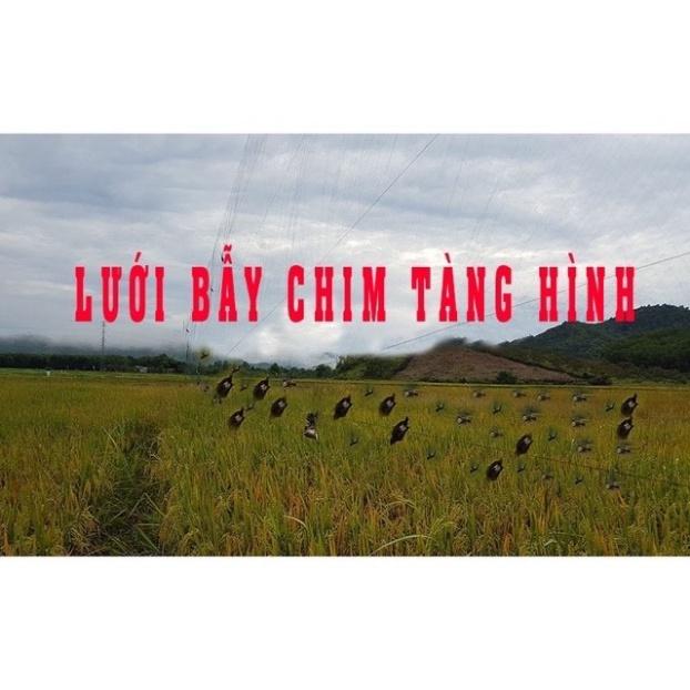 Lưới Bắt Chim dài 30m hàng loại 1 lưới singapore bắt CHÀO MÀO, CHÒE, MI, KHỨU, SÁO, cu gáy giá siêu rẻ - - đại h