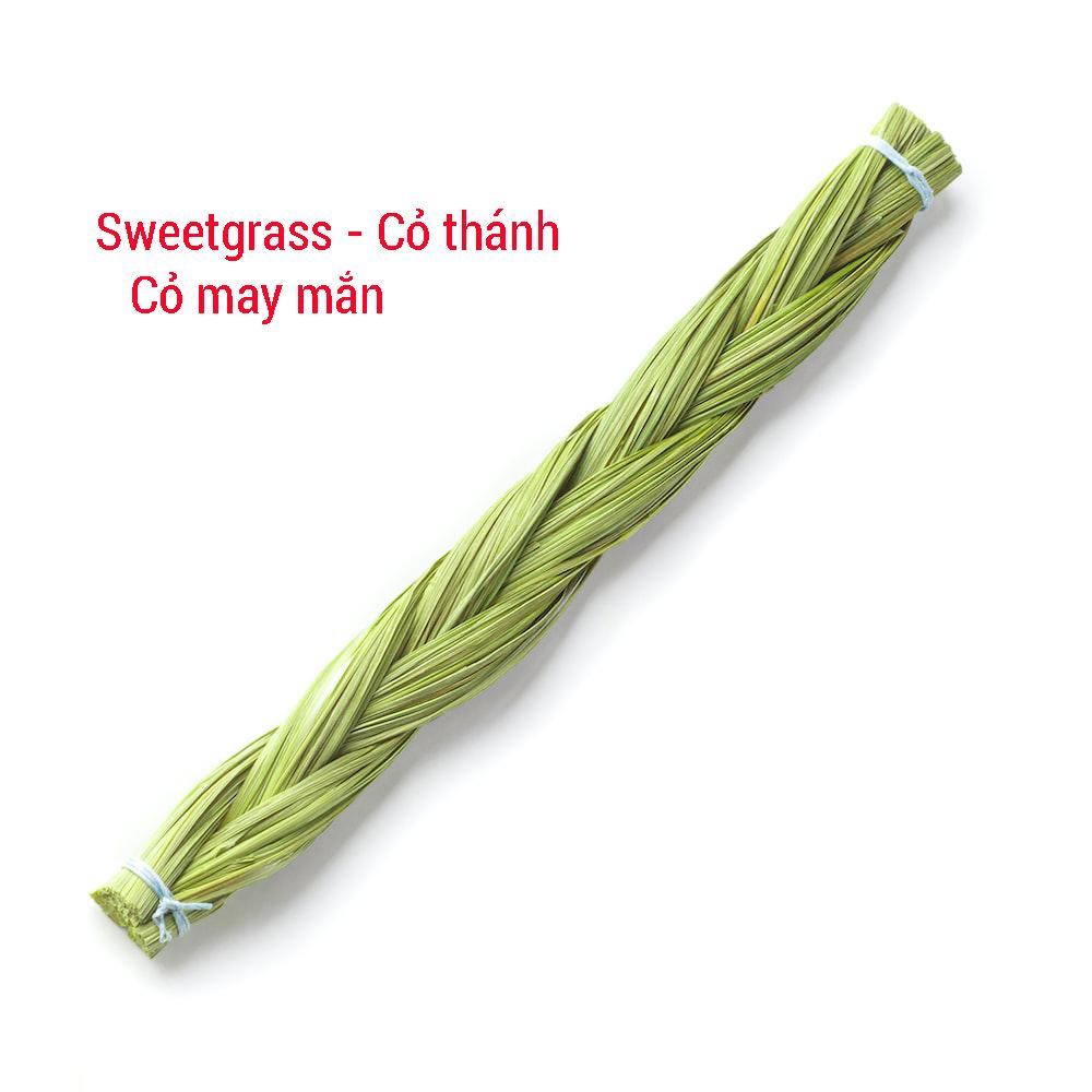 Cỏ thánh Sweetgrass Thanh tẩy nhà cửa - Đem lại may mắn