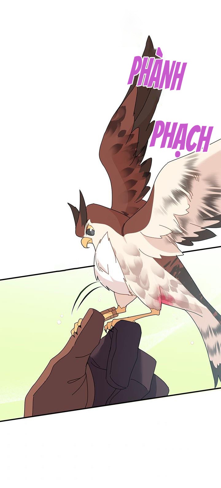 công chúa của loài chim chapter 44.2 15