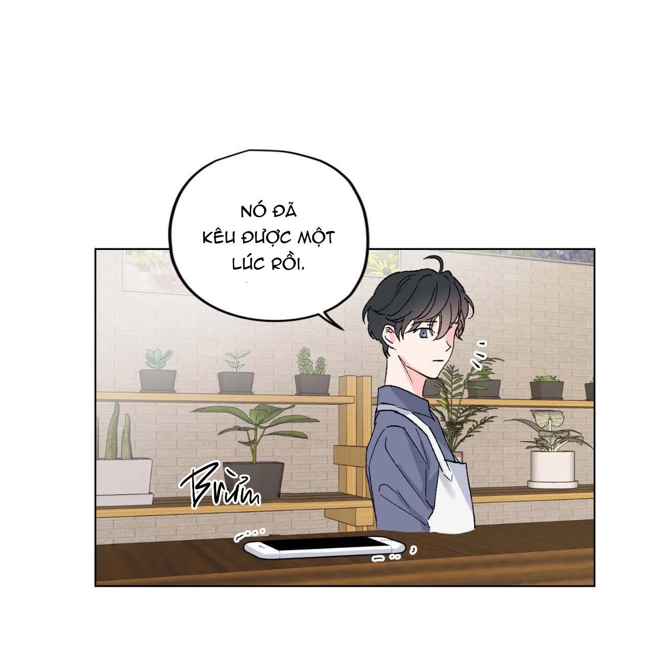 bước vào rắc rối chapter 3 24