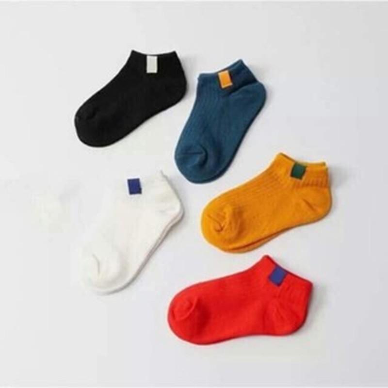 Combo 5 đôi tất gân cotton sắc màu cho bé