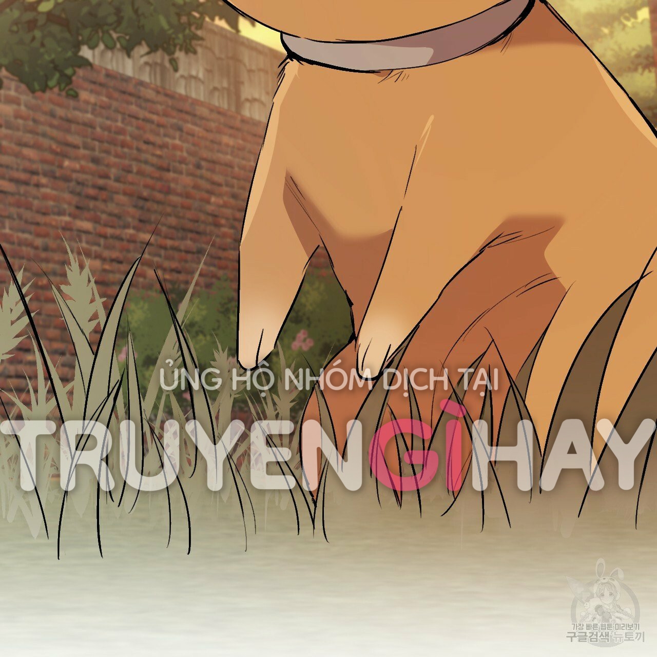 những chú thỏ của hapypy chapter 45 154