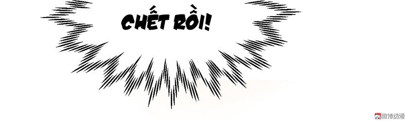 tổng tài truy thê: phu nhân lại chạy trốn chapter 1 15