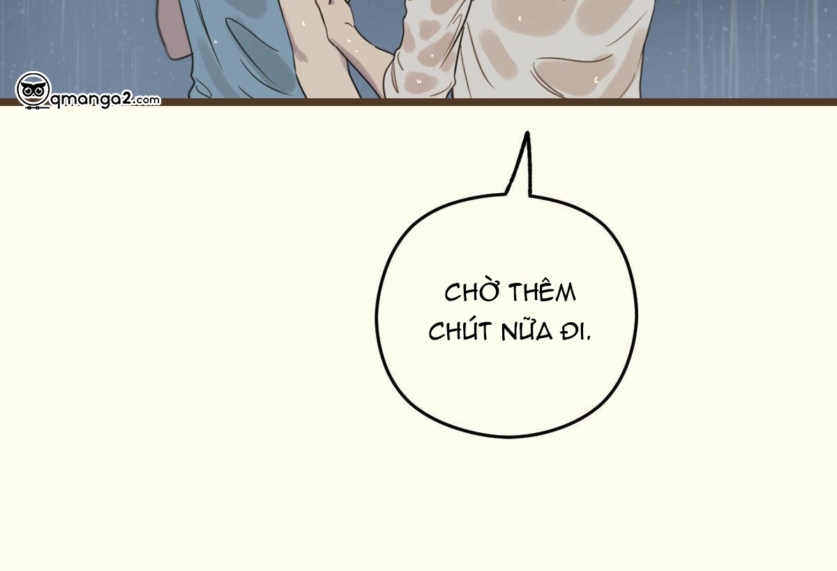 tương phùng chapter 8 184