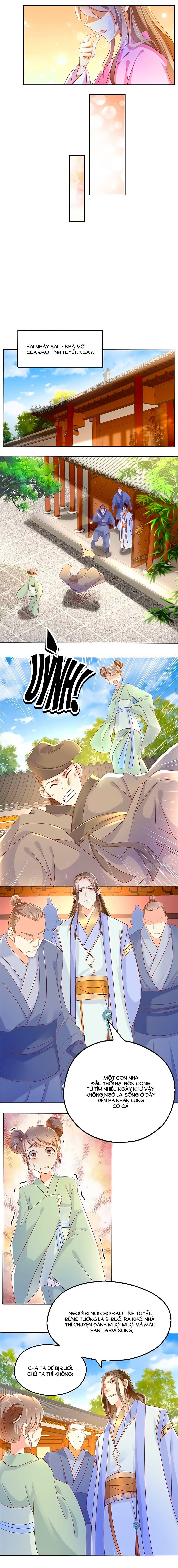 Khuynh Thành Cuồng Phi Của Tà Vương chapter 12 - Trang 5