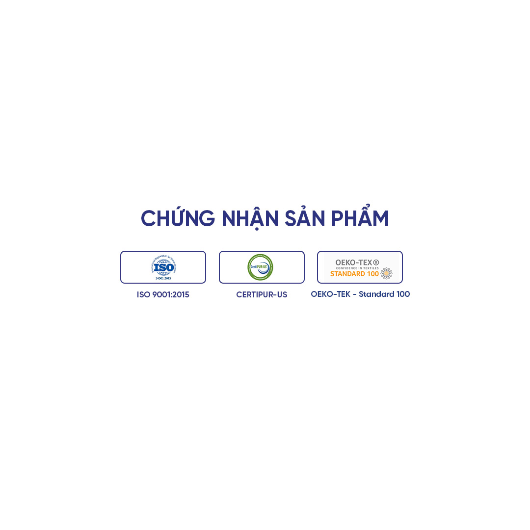 Nệm foam Goodnight Hachi ép cuộn, thoáng khí, nâng đỡ cơ thể, giữ cột sống ổn định