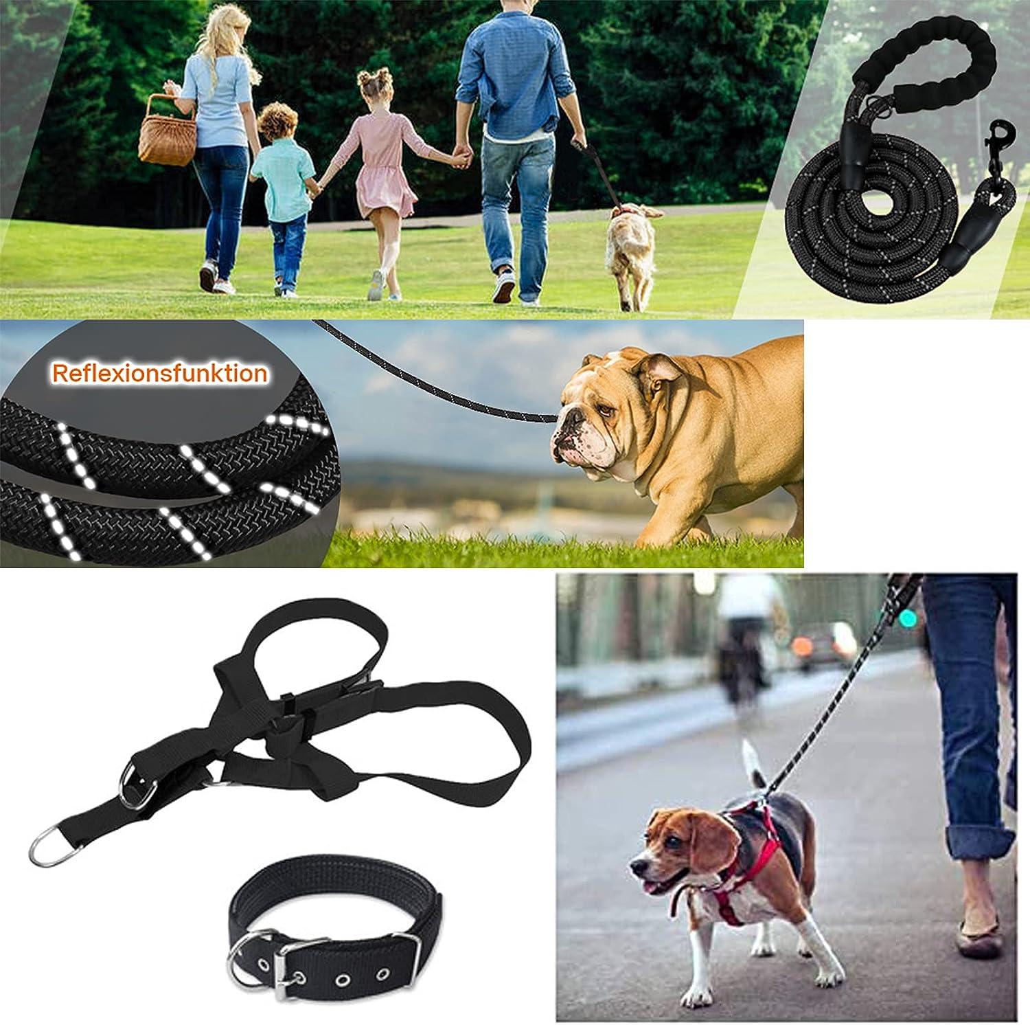 Cái Dây Xích Chó Phản Quang, Bộ Dây Đai và Vòng Cổ Cho Thú Cưng, Nylon