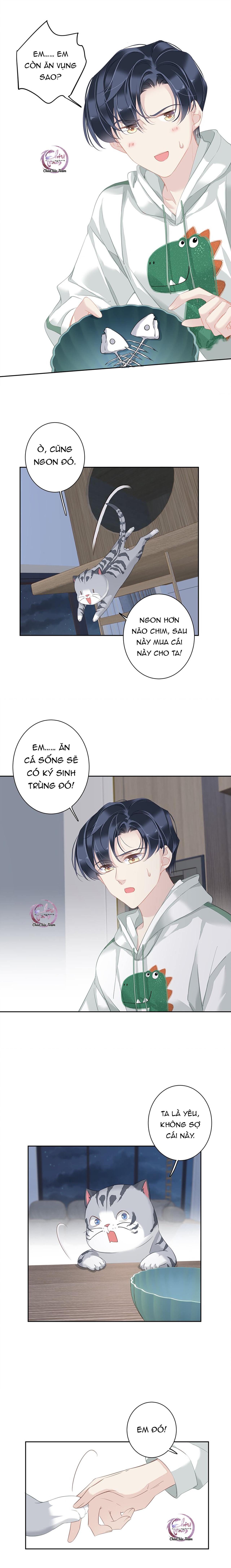 cuộc mai mối vượt giống loài chapter 38 8