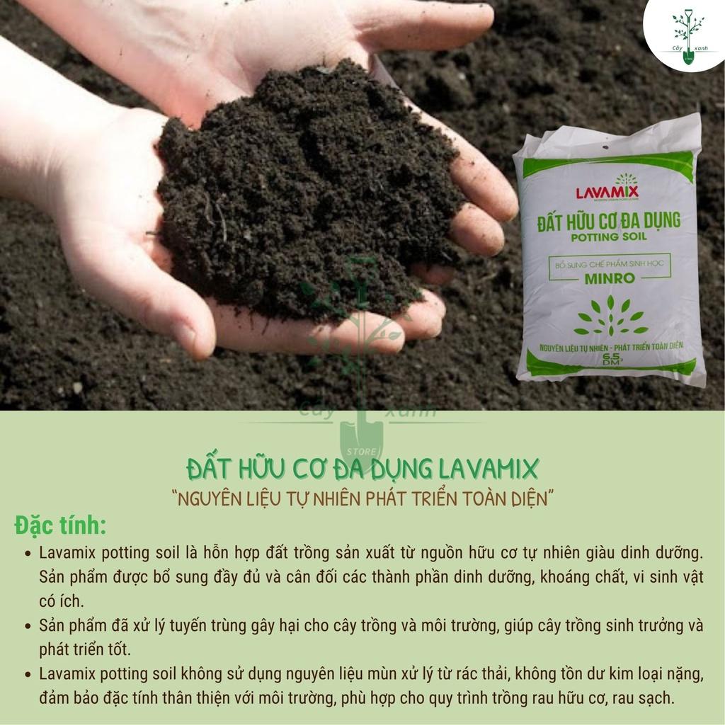 Đất Sạch Đất Hữu Cơ Đa Dụng Lavamix Ươm Hạt Giống, Trồng Rau Và Hoa Kiểng 6.5dm3