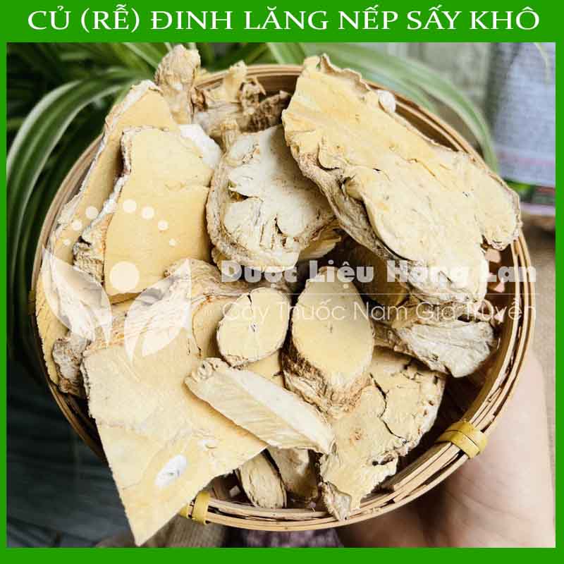 [THƯỢNG HẠNG] 1kg Củ (Rễ) Đinh Lăng nếp lá nhỏ sấy khô loại 1 - (loại to, thơm, ngon không chất bảo quản)