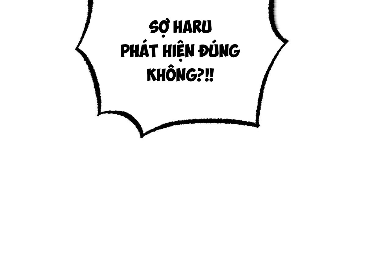 những chú thỏ của hapypy chapter 58 137