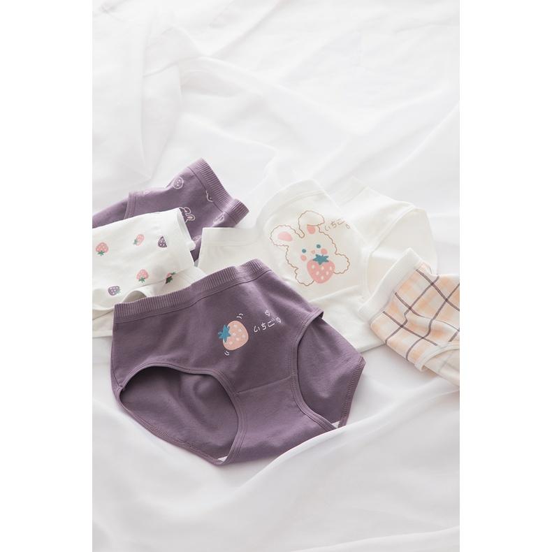 Quần Lót Nữ Cotton Hình Thỏ-Dâu Thời Trang Ngang Eo . Hàng Loại Đẹp.